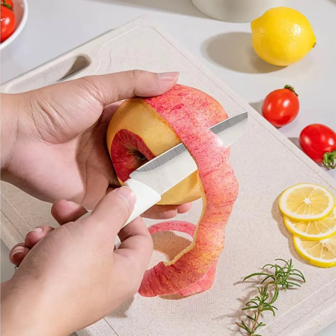 Stainless Steel Kitchen Knife Set