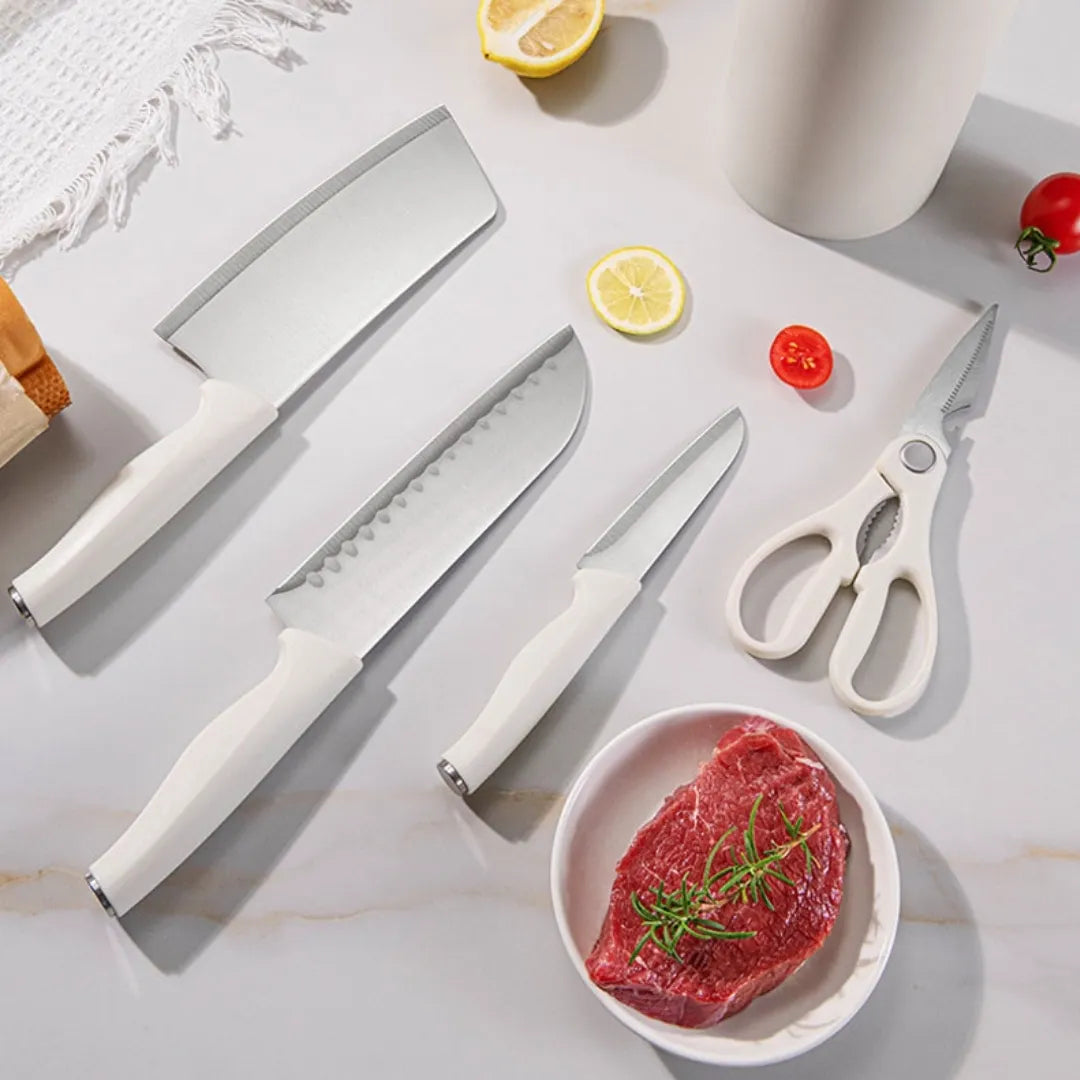 Stainless Steel Kitchen Knife Set